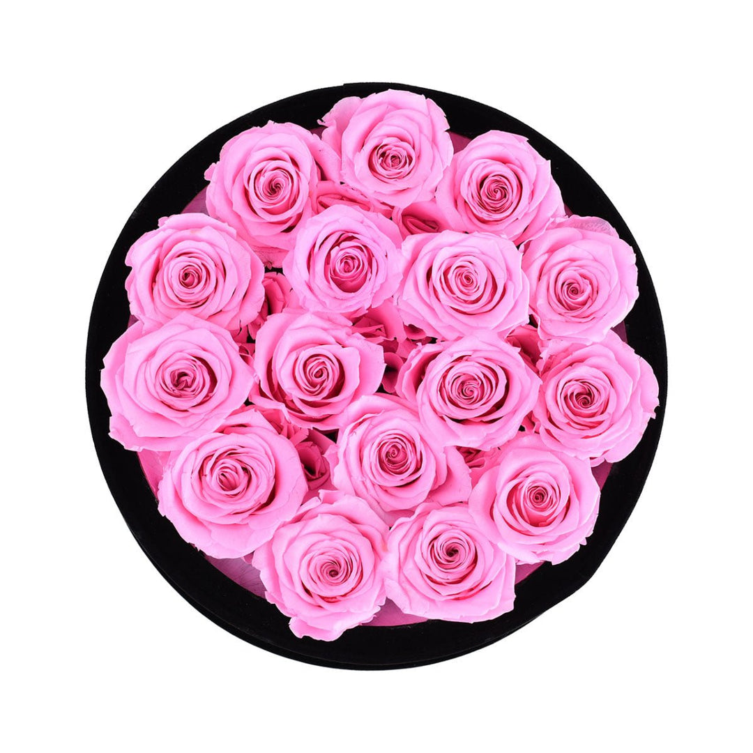 16 Fuchsia Roses - Black Round Velvet Box - Rose Forever