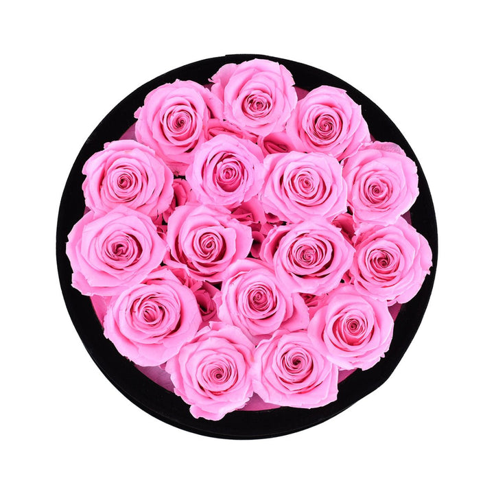 16 Fuchsia Roses - Black Round Velvet Box - Rose Forever