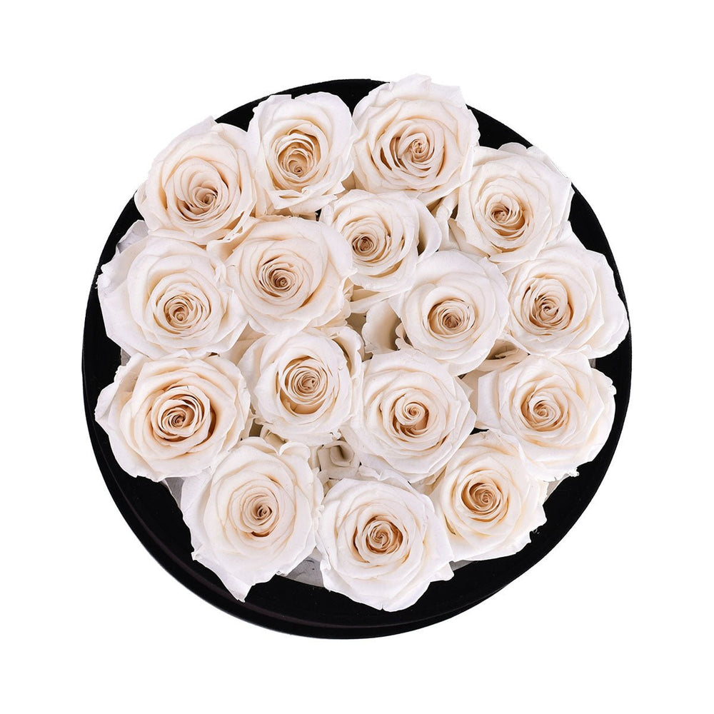 16 Ivory Roses - Black Round Velvet Box - Rose Forever