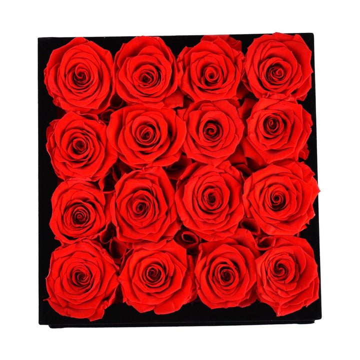 16 Red Roses - Black Square Velvet Box - Rose Forever