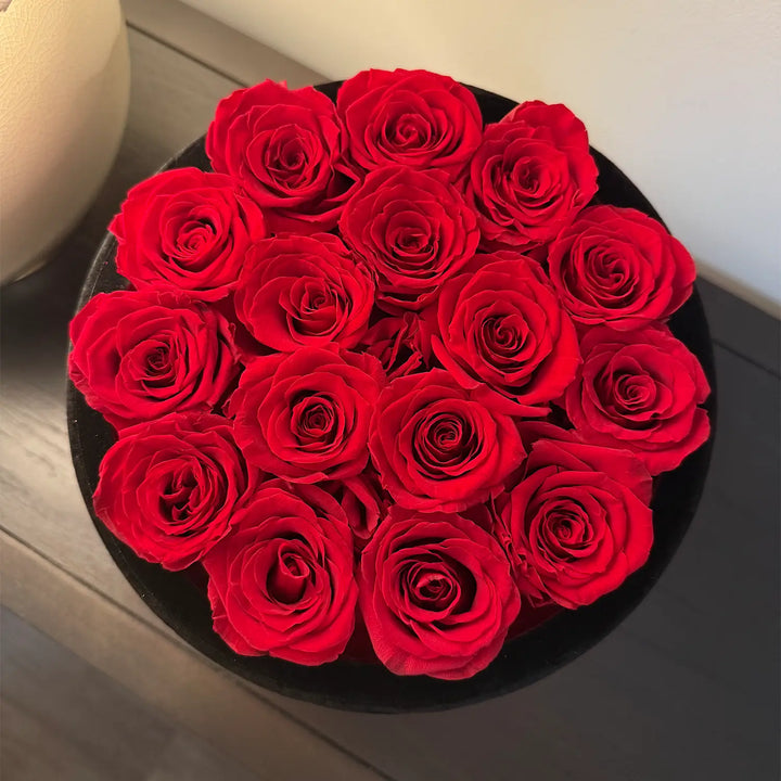 Red Roses Velvet 16