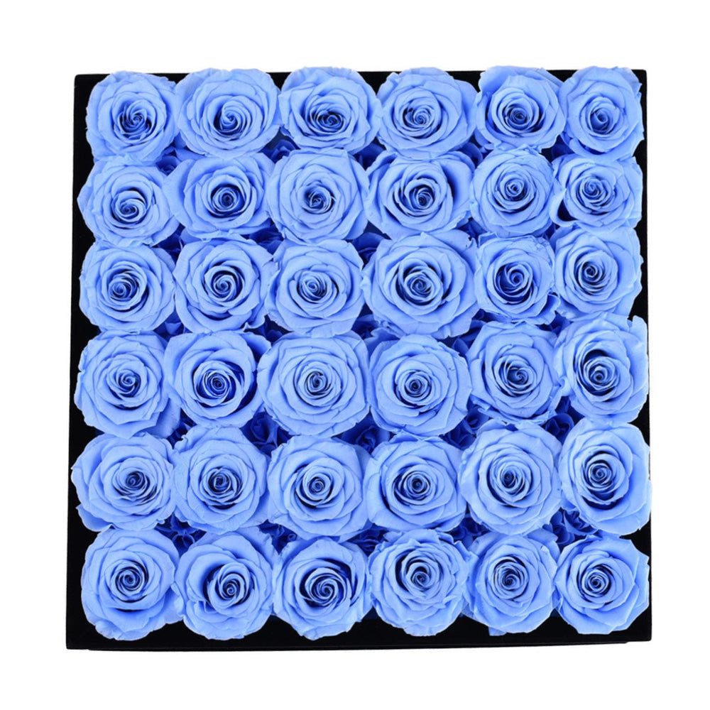36 Blue Roses - Black Square Velvet Box - Rose Forever