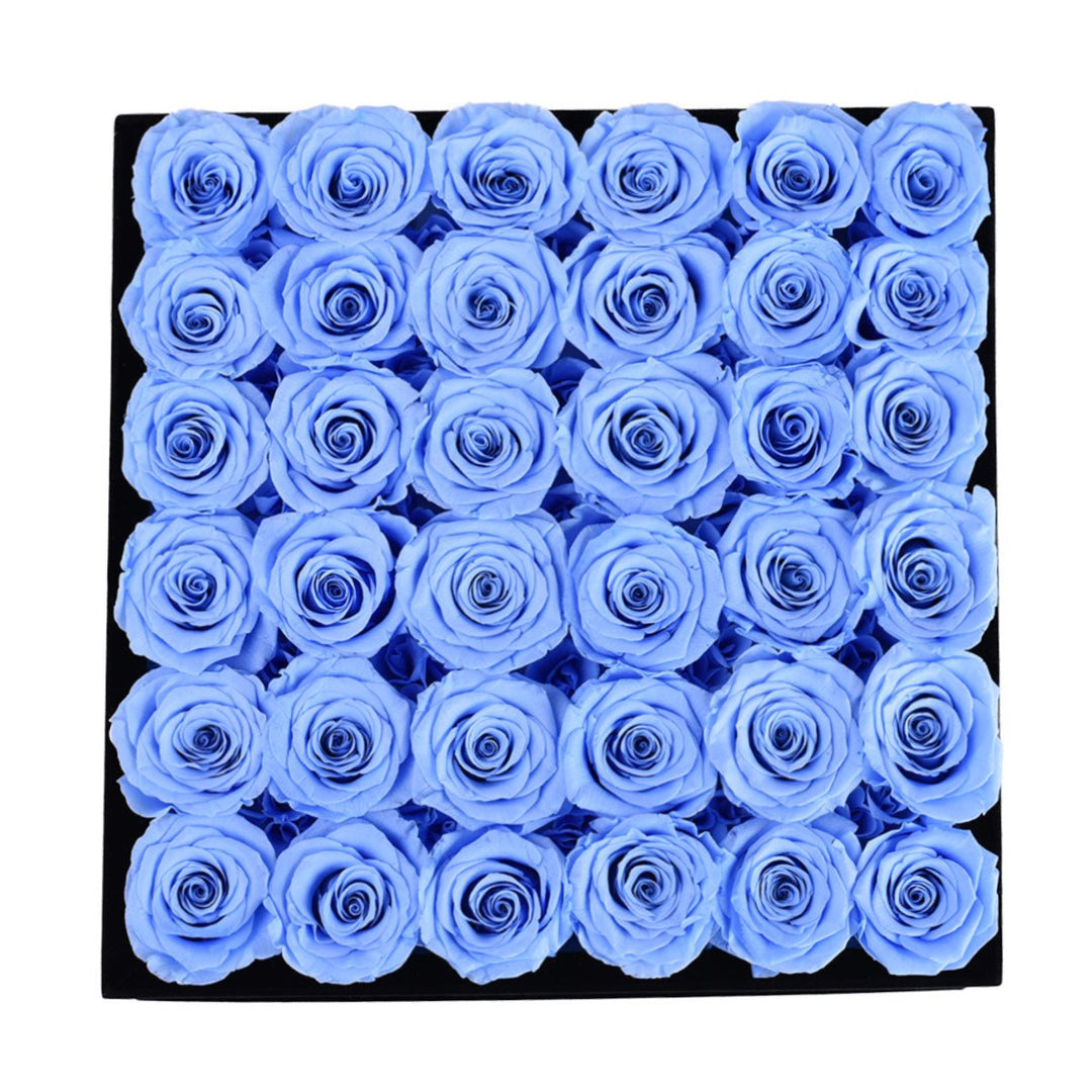 36 Blue Roses - Black Square Velvet Box - Rose Forever