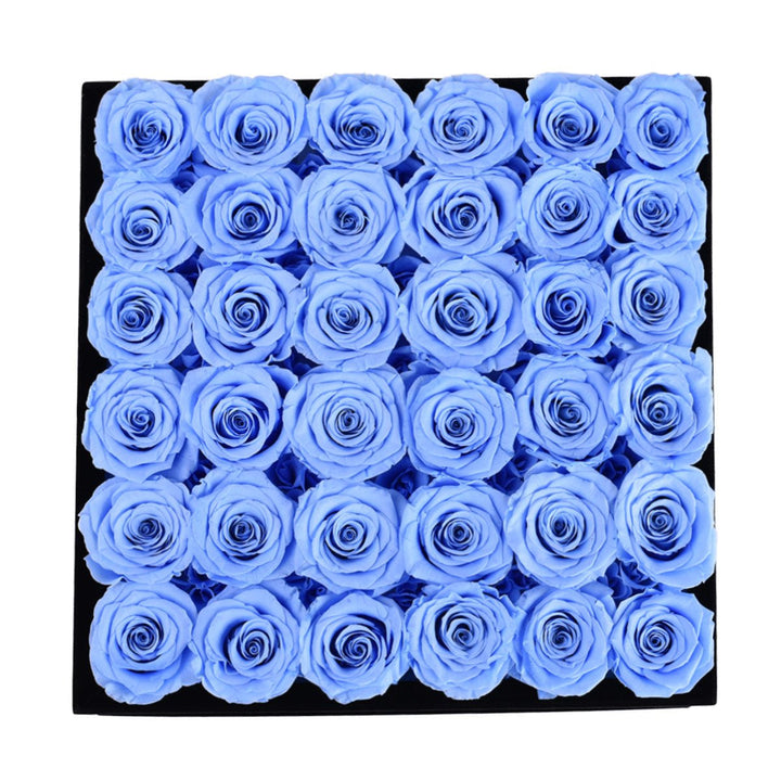 36 Blue Roses - Black Square Velvet Box - Rose Forever