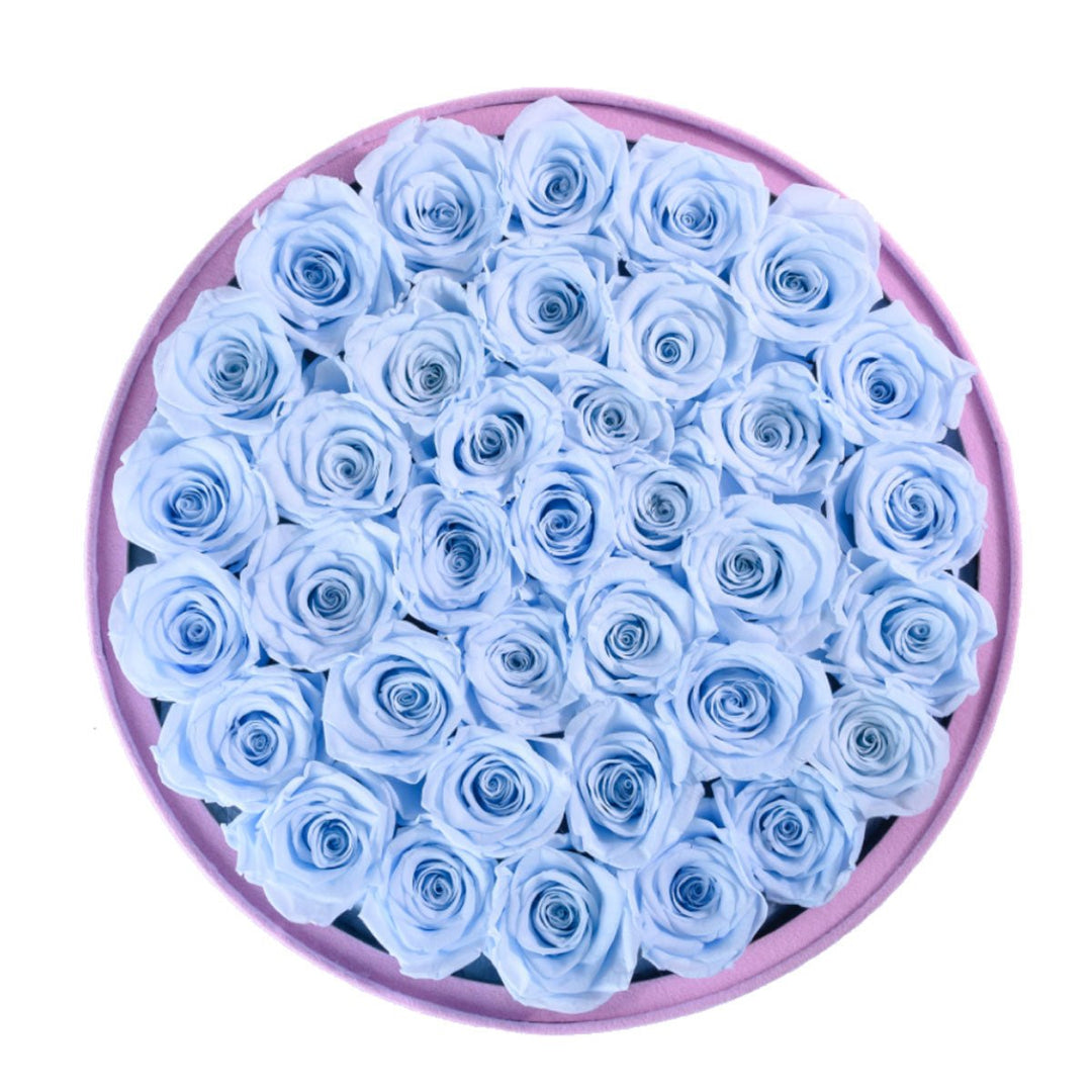 36 Blue Roses - Pink Round Suede Box - Rose Forever