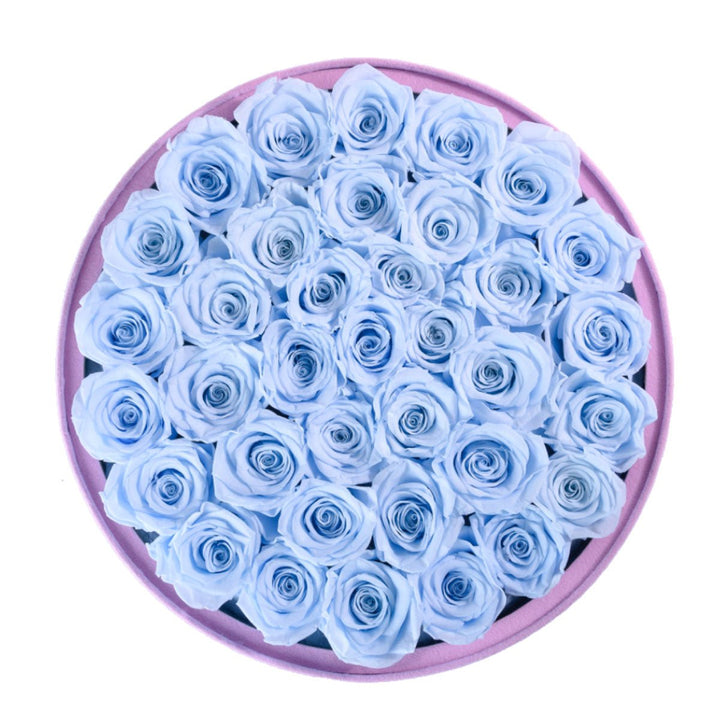 36 Blue Roses - Pink Round Suede Box - Rose Forever