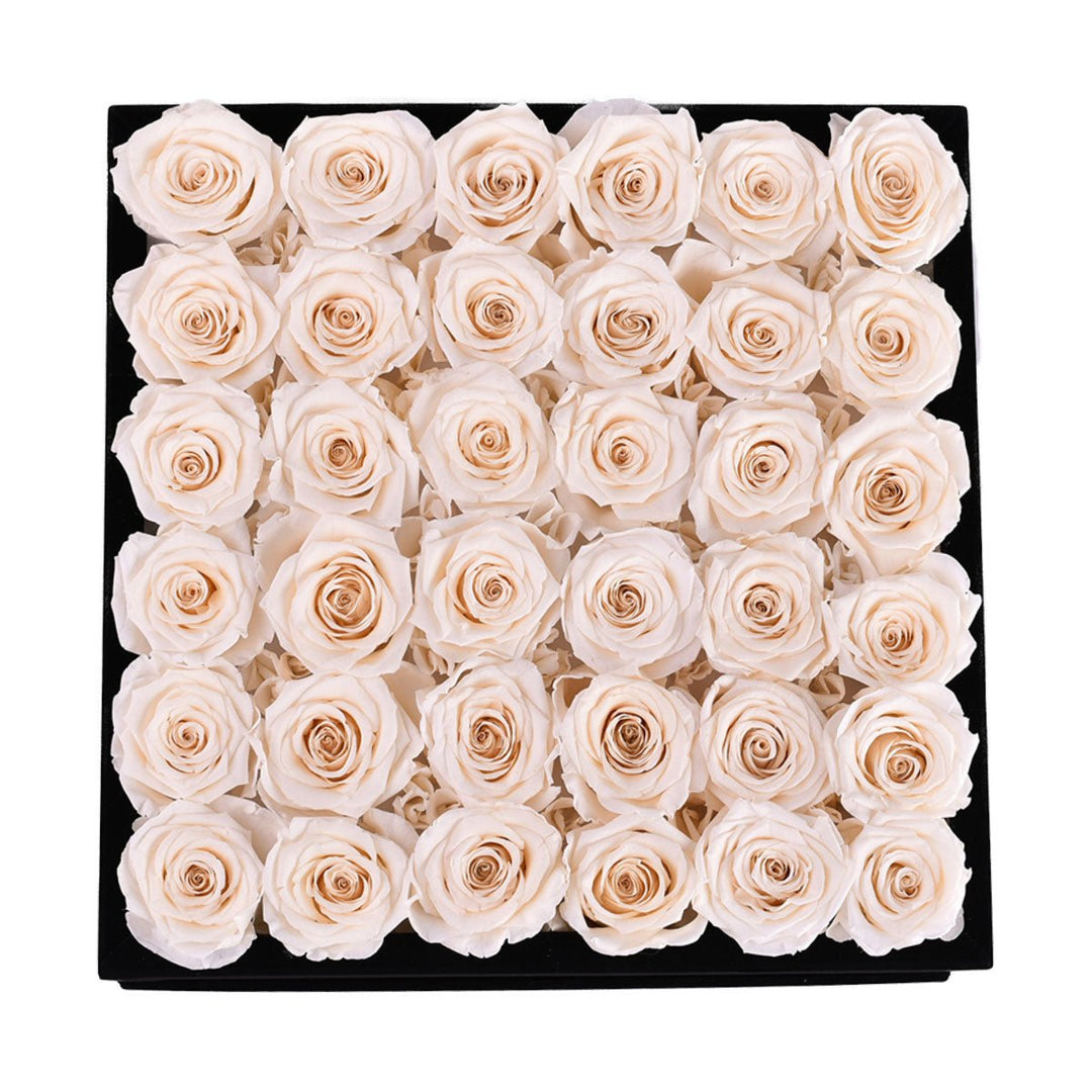36 Ivory Roses - Black Square Velvet Box - Rose Forever