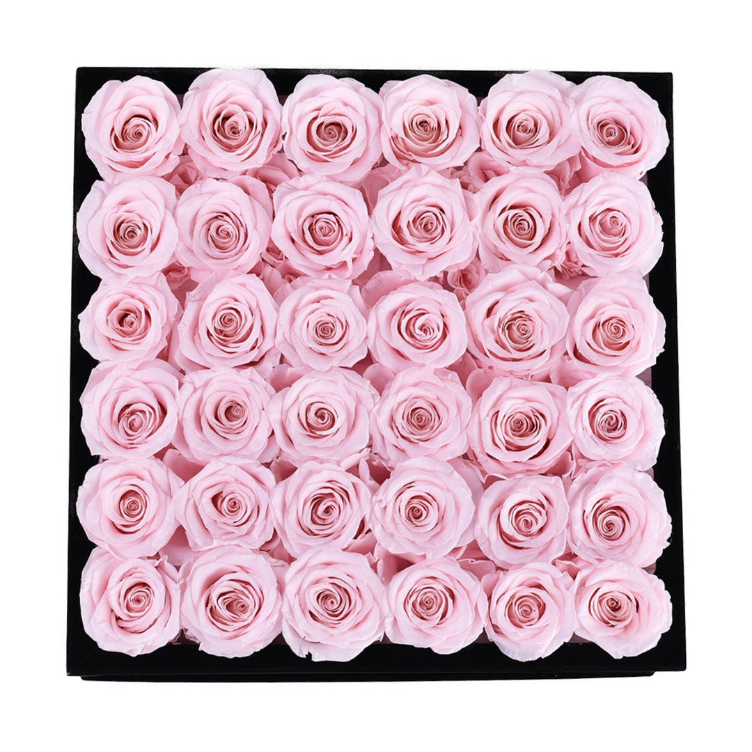 36 Light Pink Roses - Black Square Velvet Box - Rose Forever
