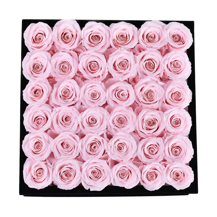 36 Light Pink Roses - Black Square Velvet Box - Rose Forever