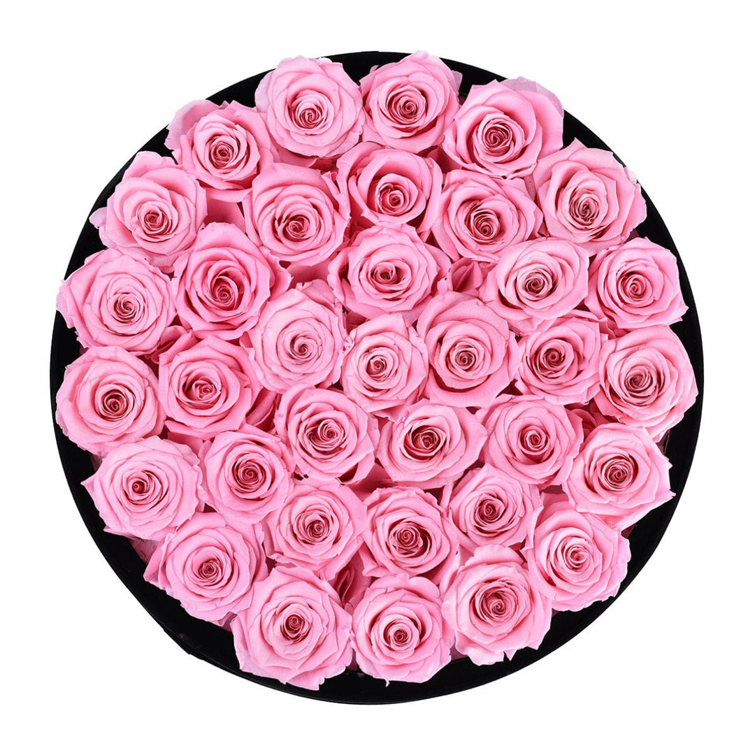 36 Pearl Pink Roses - Black Round Velvet Box - Rose Forever
