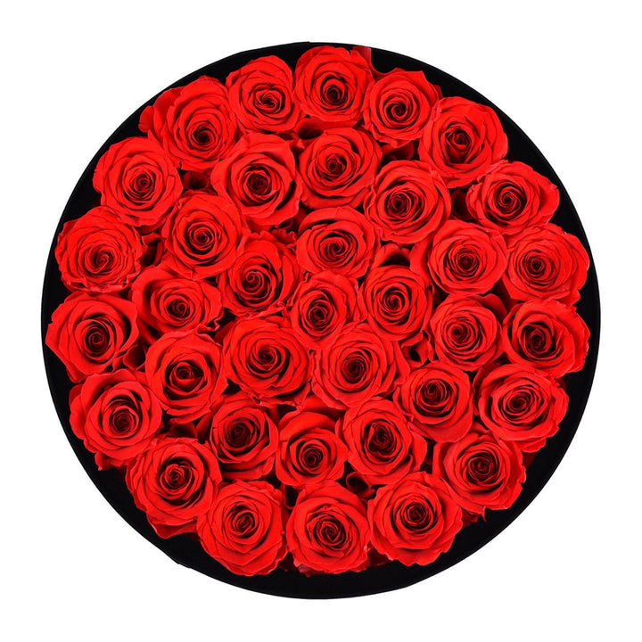 36 Red Roses - Round Velvet Box - Rose Forever