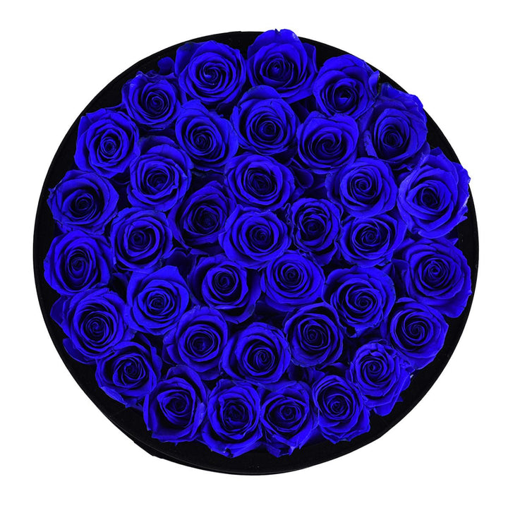 36 Royal Blue Roses - Black Round Velvet Box - Rose Forever