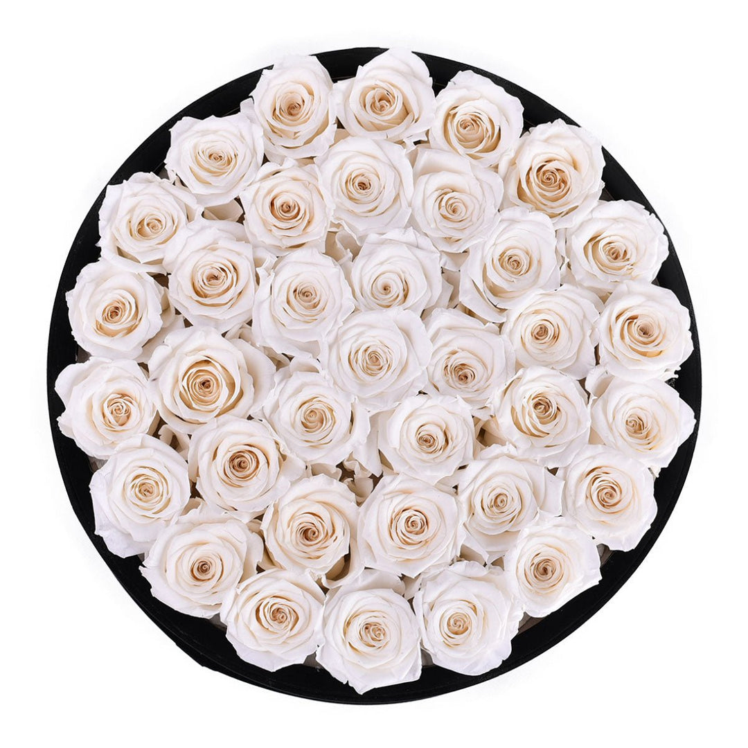 36 White Roses - Black Round Velvet Box - Rose Forever