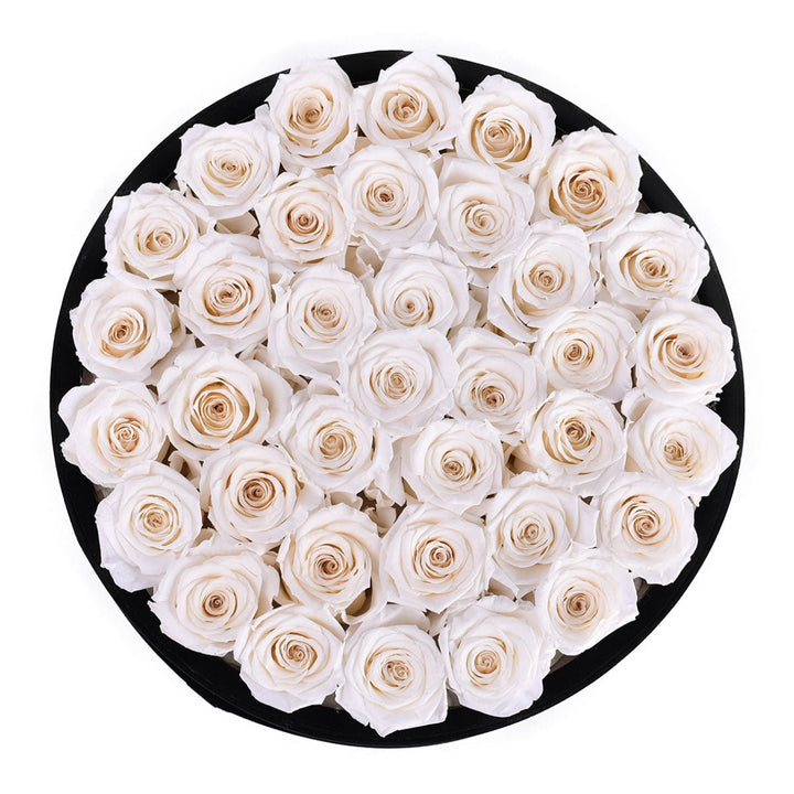 36 White Roses - Black Round Velvet Box - Rose Forever