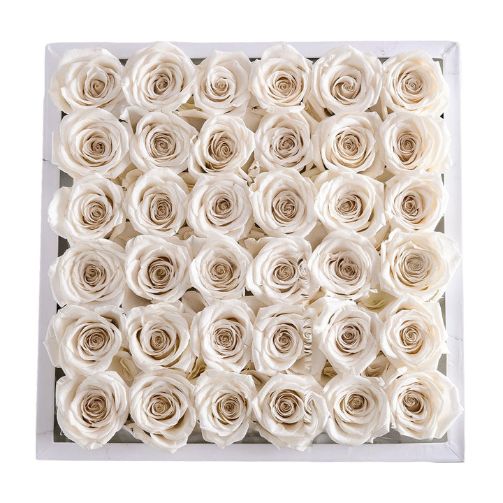 36 White Roses - White Marble Square Box - Rose Forever