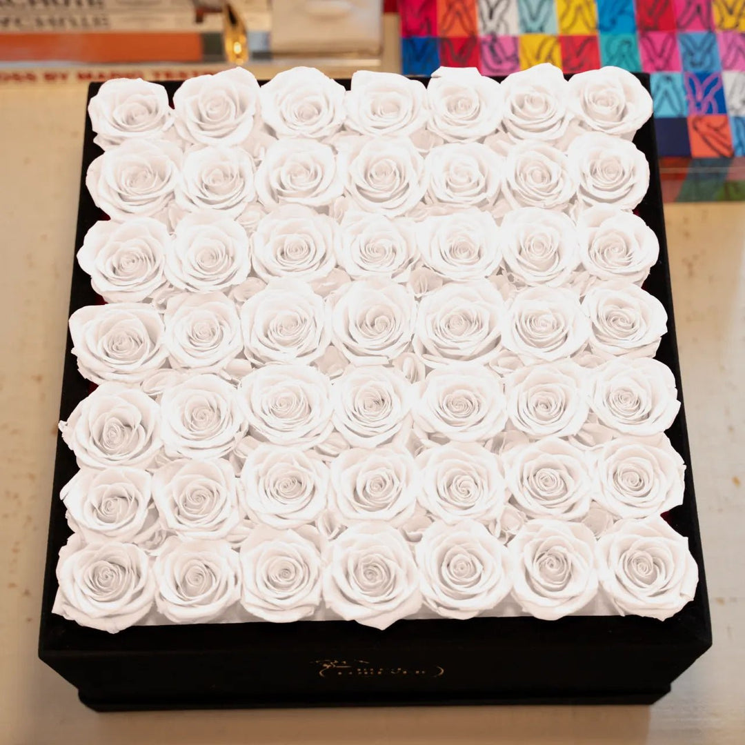 49 White Roses - Black Velvet Square Box - Rose Forever