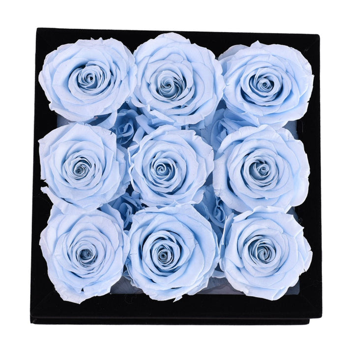 9 Baby Blue Roses - Square Black Velvet Box - Rose Forever