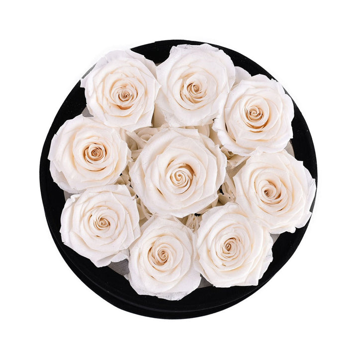 9 Ivory Roses - Black Round Velvet Box - Rose Forever