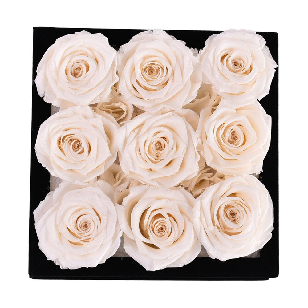 9 Ivory Roses - Black Square Velvet Box - Rose Forever