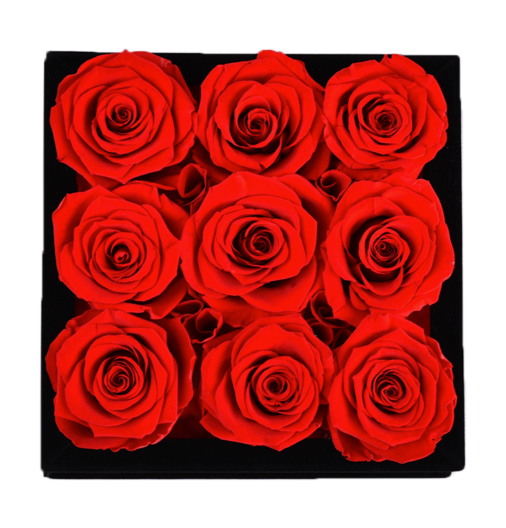 9 Red Roses - Square Black Velvet Box - Rose Forever
