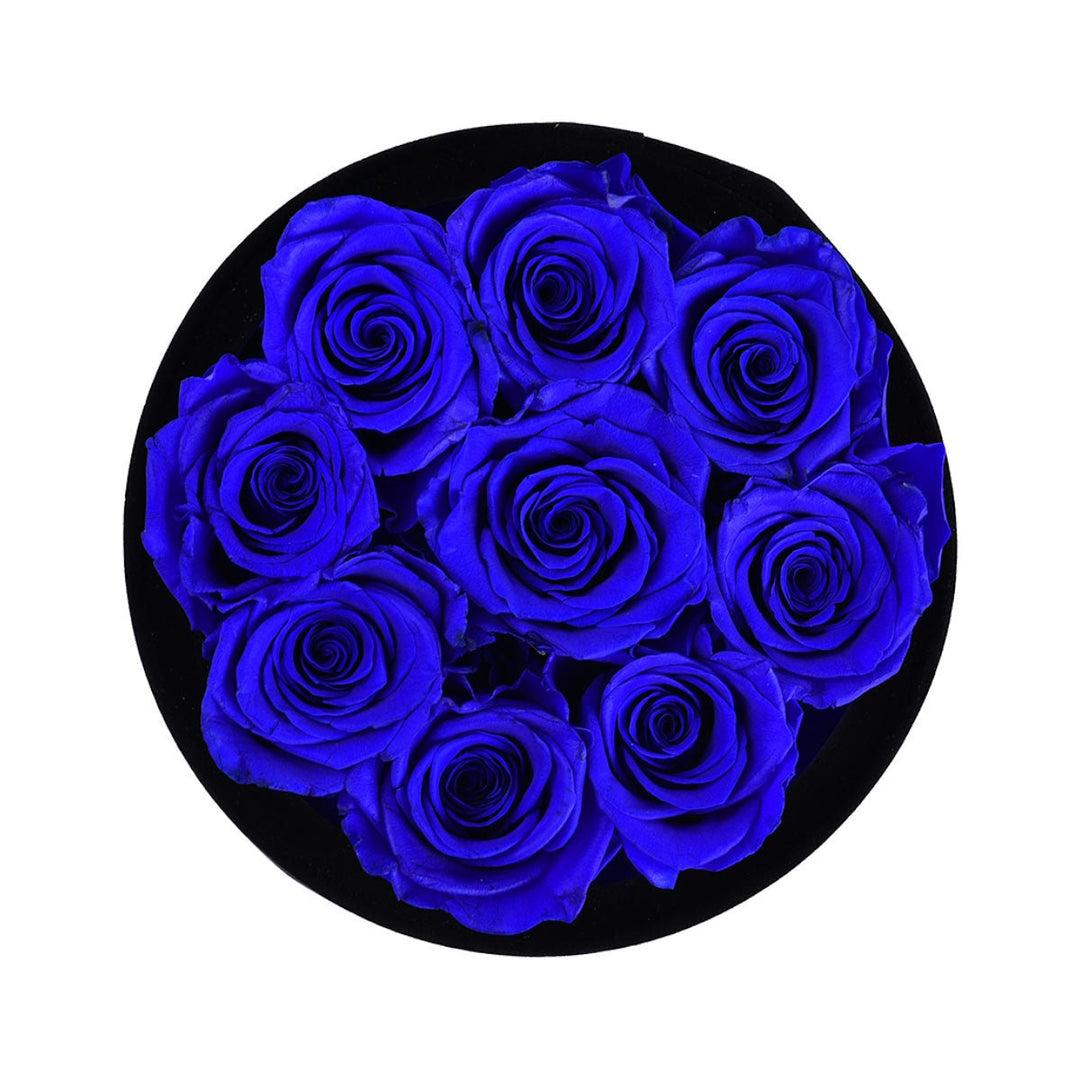 9 Royal Blue Roses - Black Round Velvet Box - Rose Forever