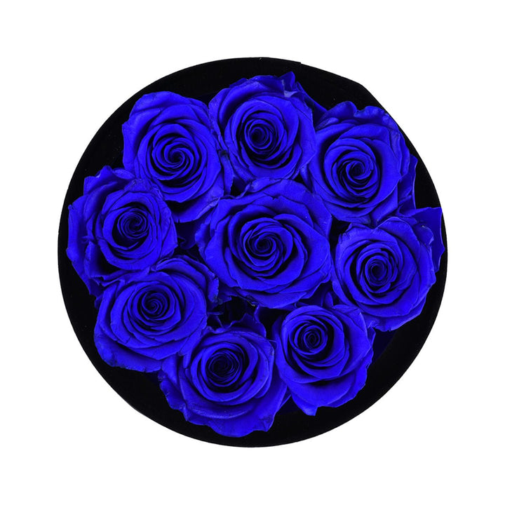 9 Royal Blue Roses - Black Round Velvet Box - Rose Forever