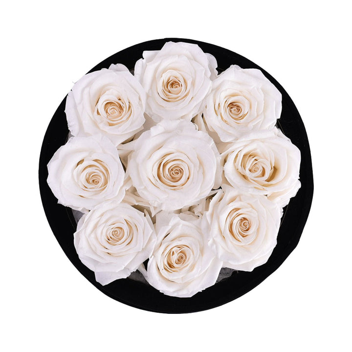 9 White Roses - Black Round Velvet Box - Rose Forever