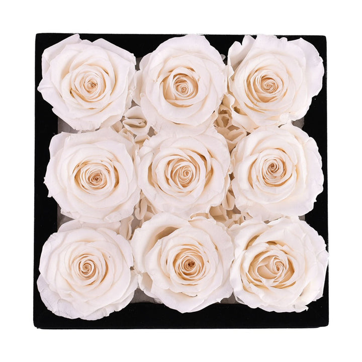 9 White Roses - Black Square Velvet Box - Rose Forever