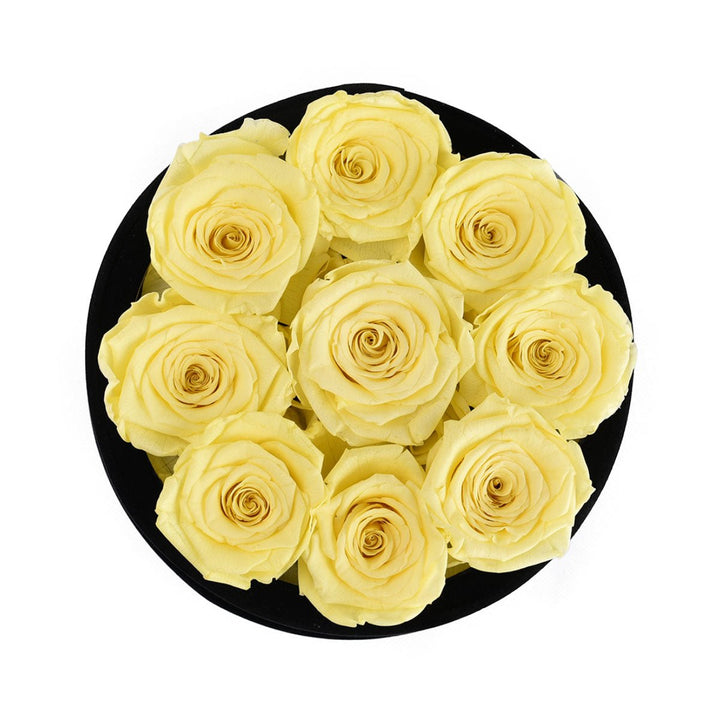 9 Yellow Roses - Black Round Velvet Box - Rose Forever