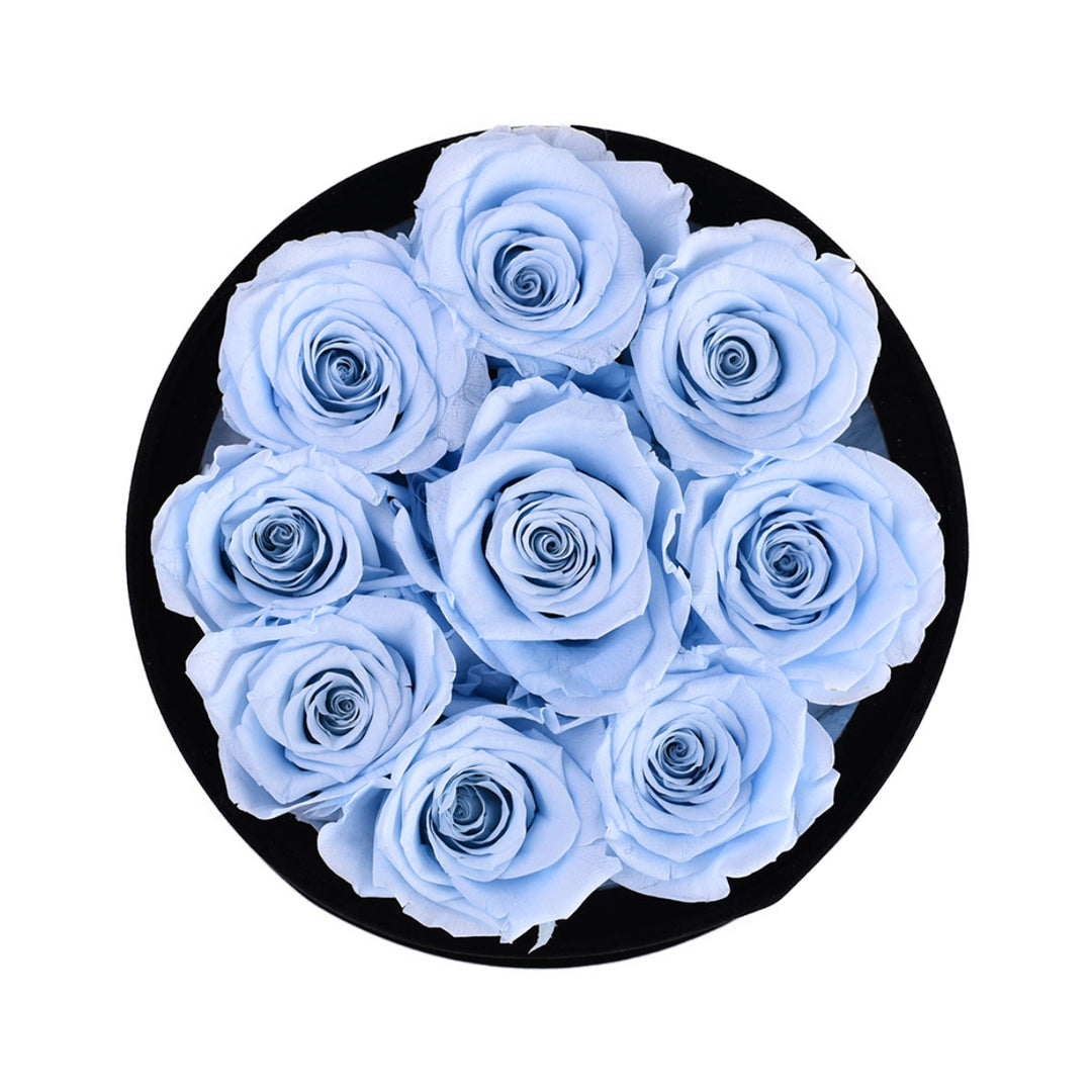 Baby Blue Roses Velvet 9