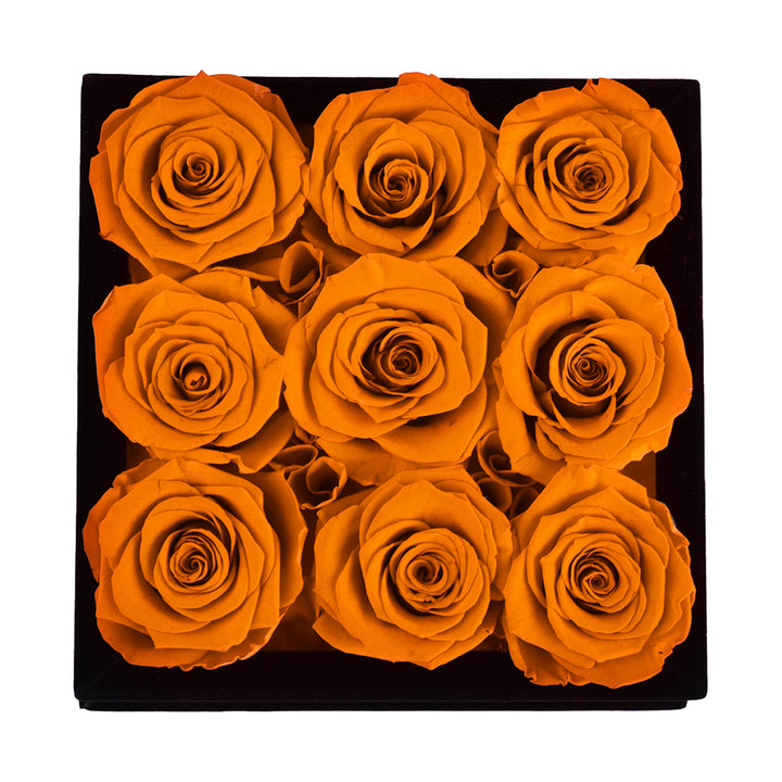 9 Royal Blue Roses - Black Square Velvet Box