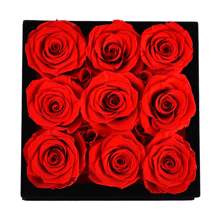 Pink Roses velvet 9
