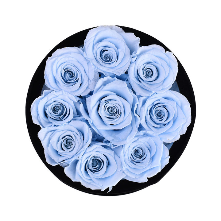 9 Baby Blue Roses - Black Round Velvet Box