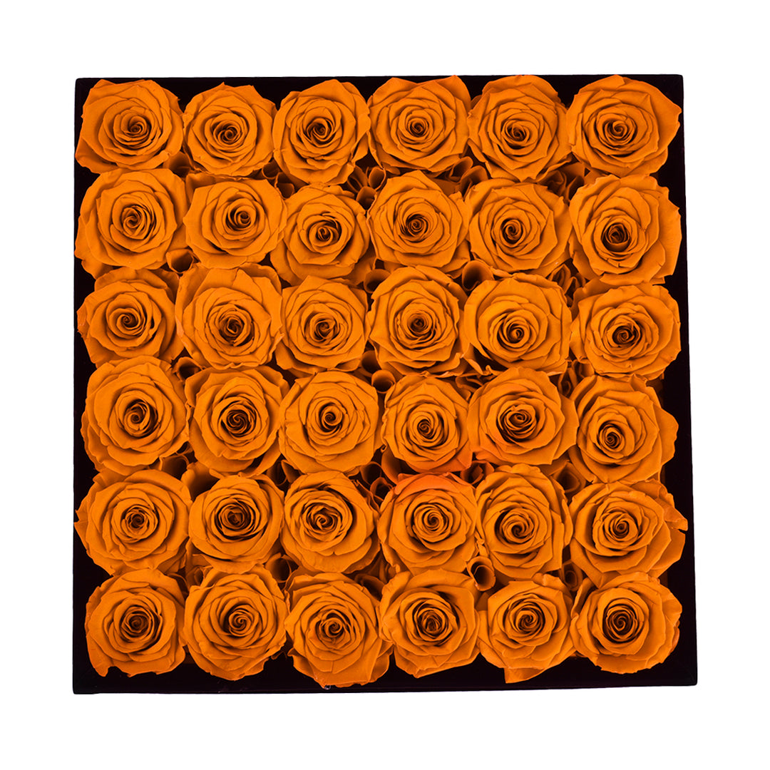 Red Roses Velvet 36