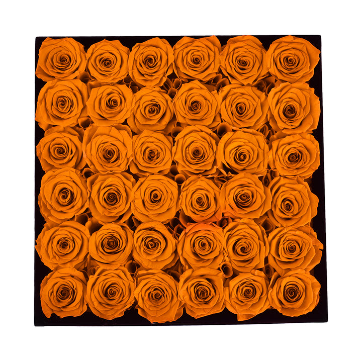 Red Roses Velvet 36