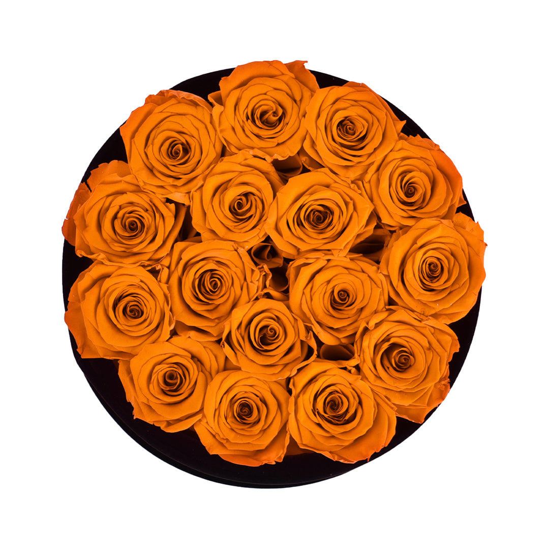 White Roses velvet 16