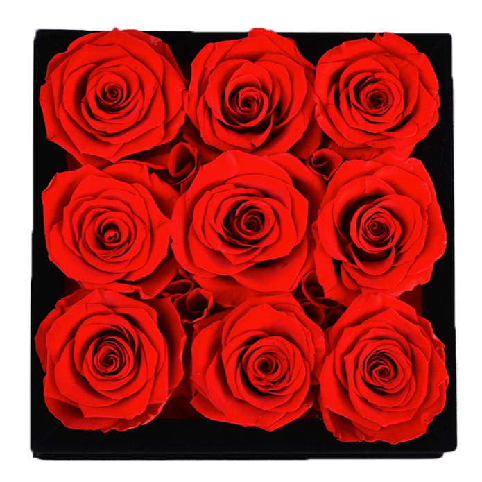 Red Roses Velvet 9 - Rose Forever