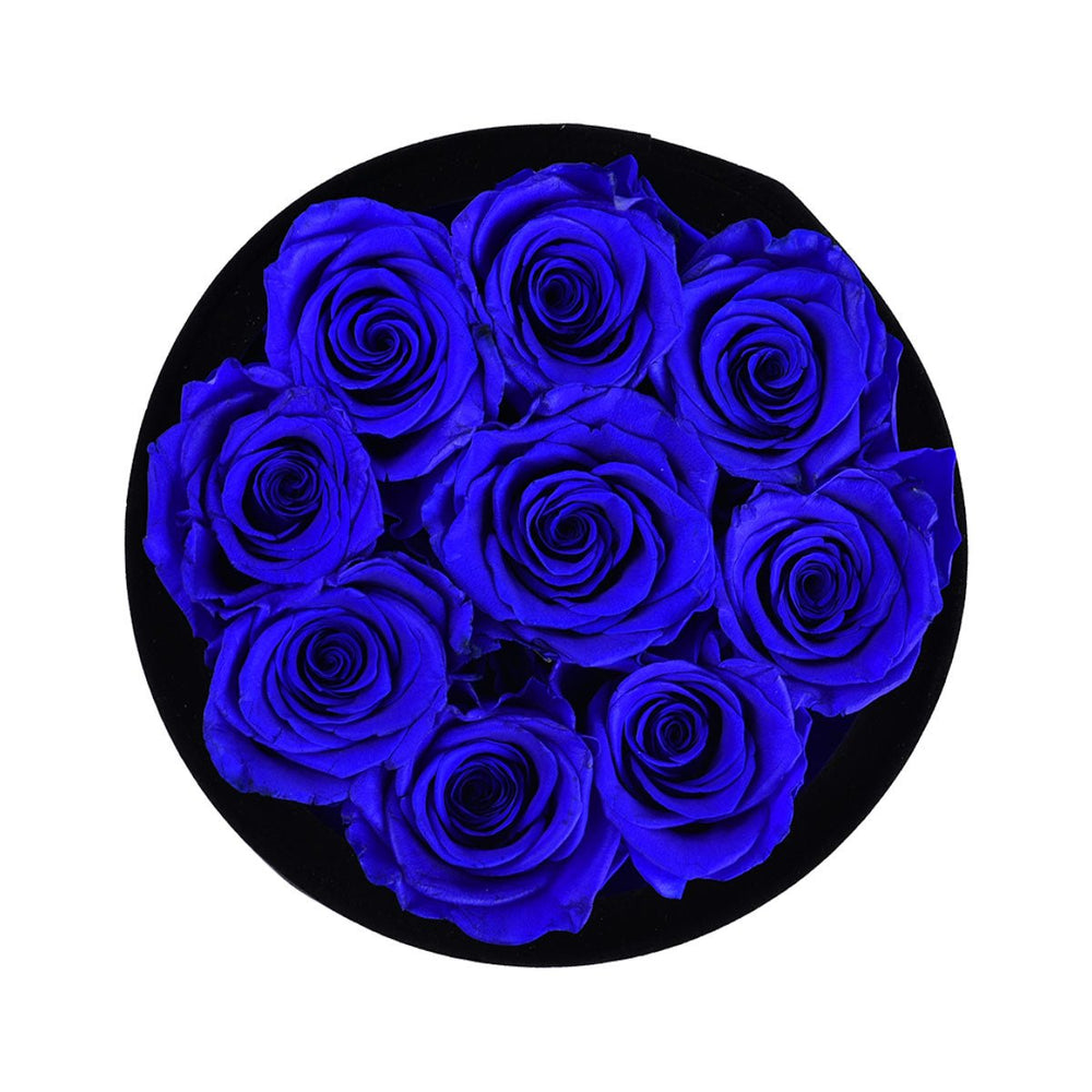 Royal Blue Roses Velvet 9 - Rose Forever