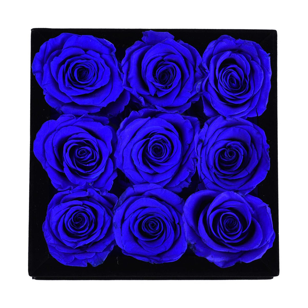 Royal Blue Roses Velvet 9 - Rose Forever