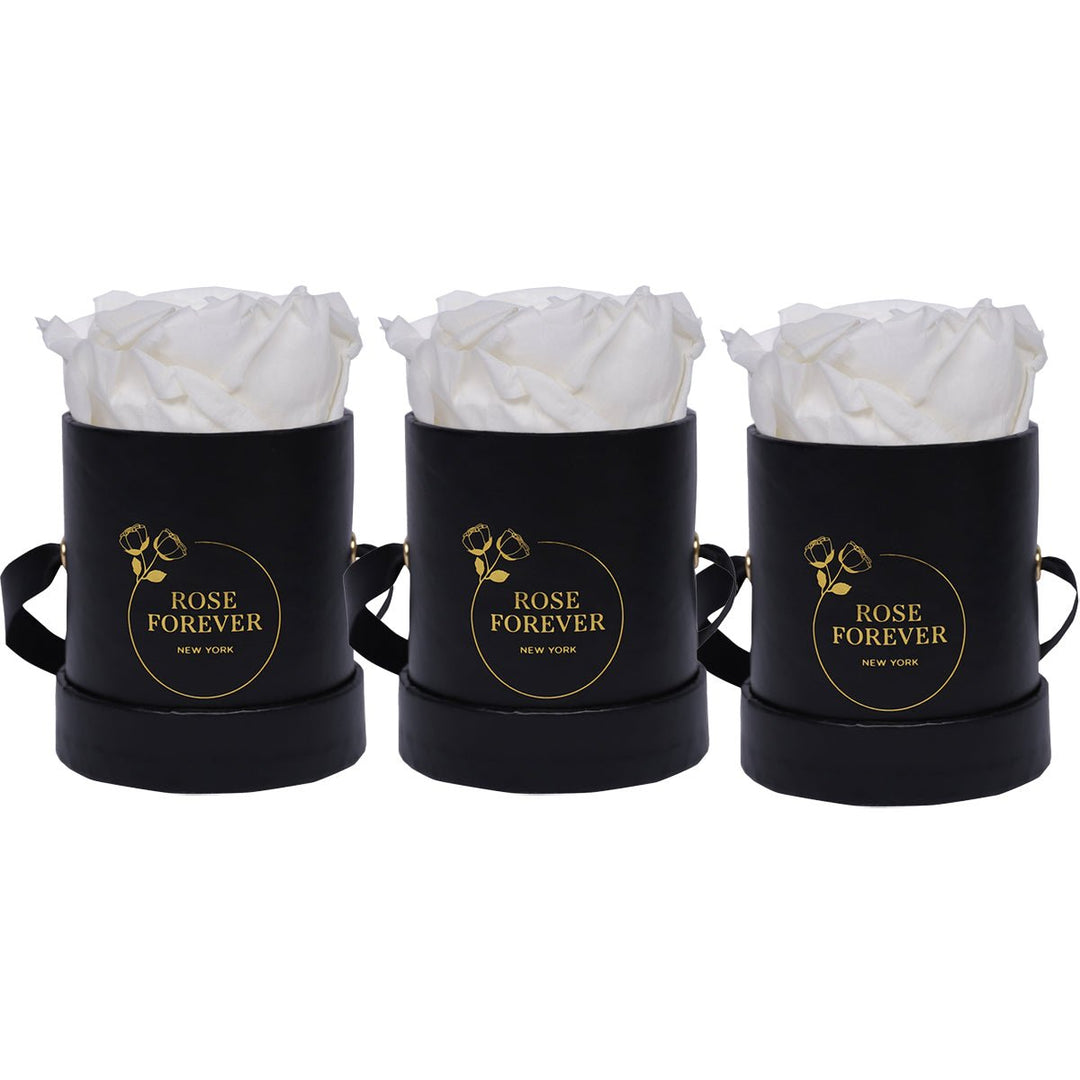 Trio of Mini White Roses - Rose Forever