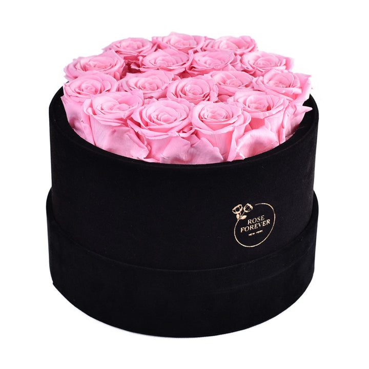 Passion Black Velvet Pearl Pink 16 | Rose Forever 