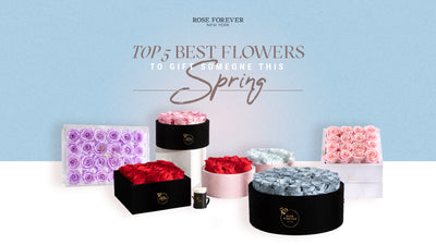 Top 5 best flowers to gift someone this Spring