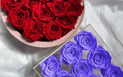 Preserved Roses: The Perfect Way to Celebrate Weddings