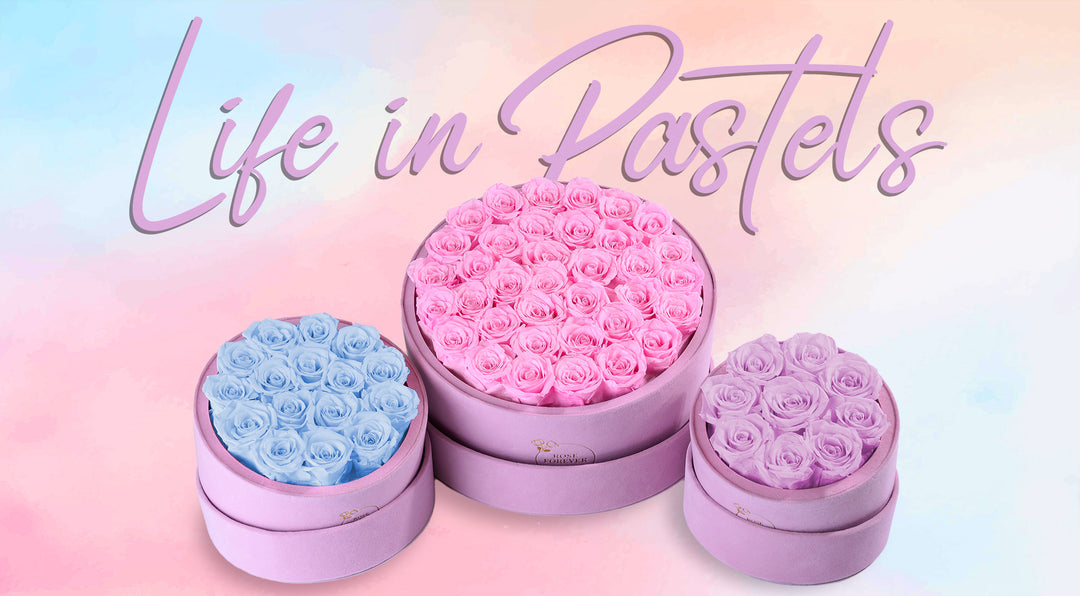 Life in Pastels. From Decor to Fashion to Preserved Roses.