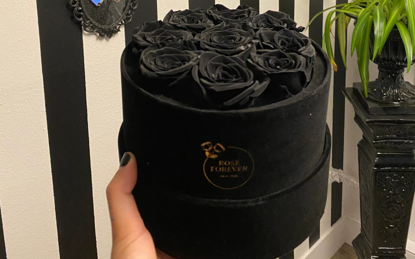 Discover the Most Stunning Black Roses for a Perfectly Gothic Look ...