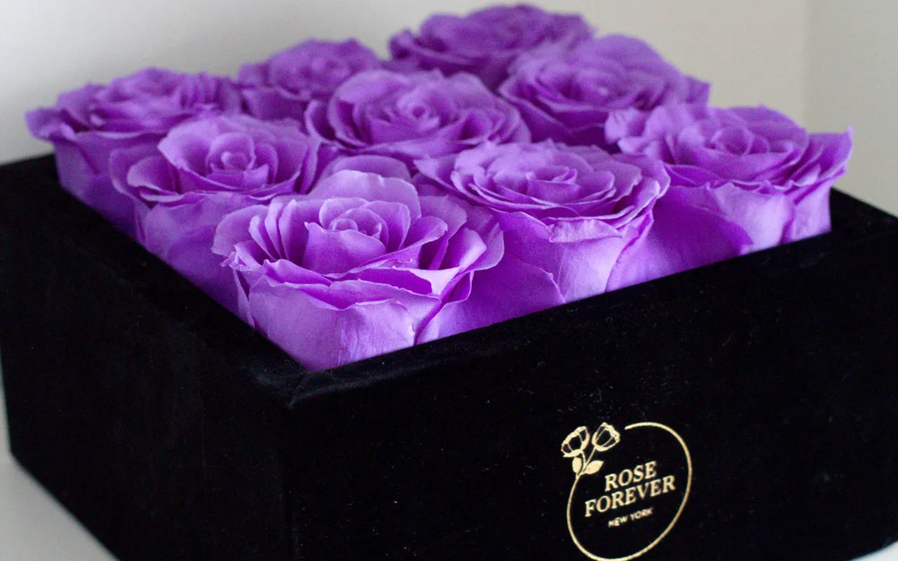 Purple Roses Emblems The Majesty of Purple Roses: Icons of Enchantment and Royalty – Rose ...