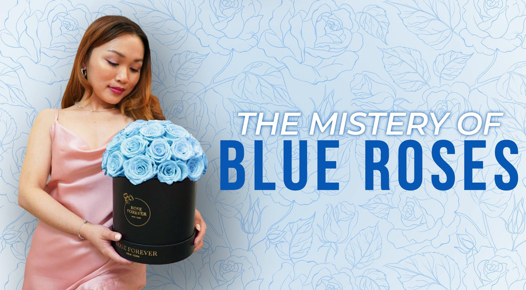 The Meaning of Blue Roses - Rose Forever