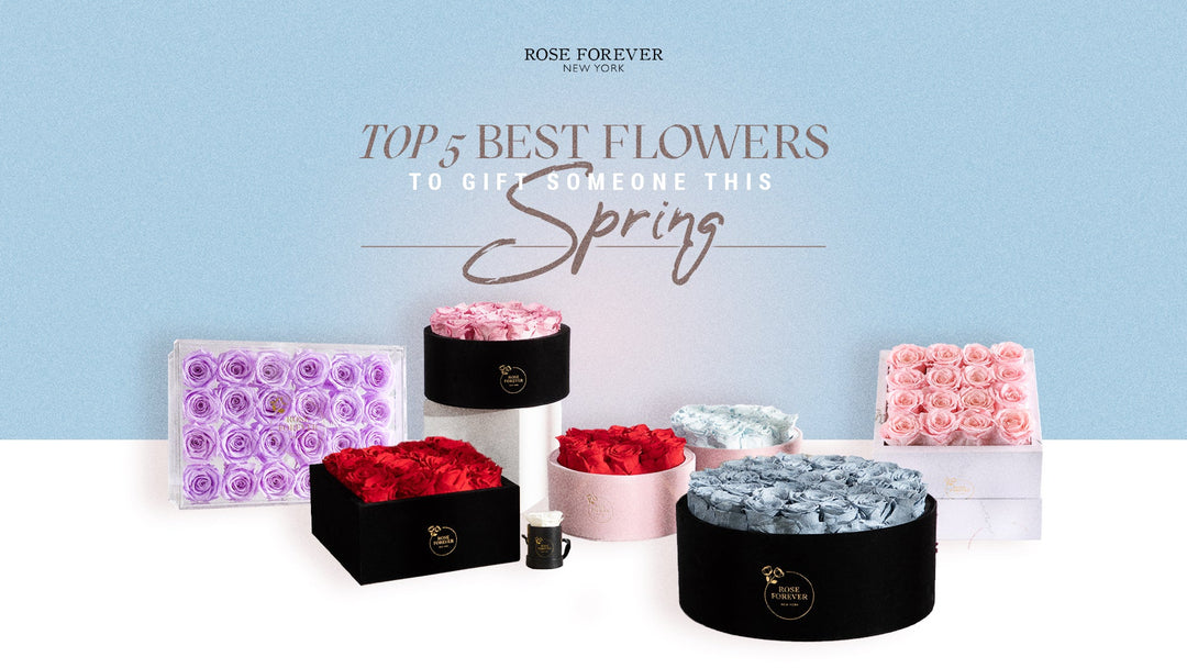 Top 5 best flowers to gift someone this Spring - Rose Forever