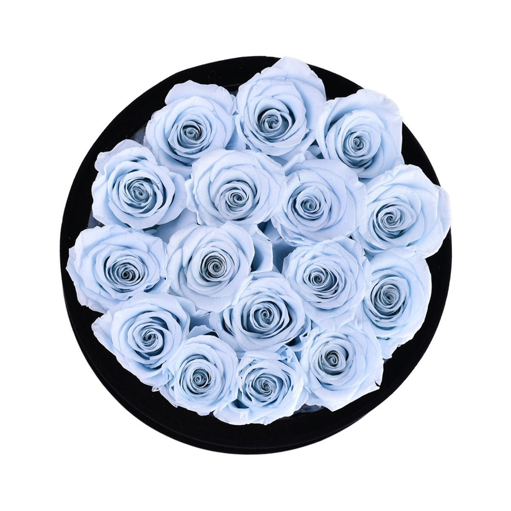 16 Baby Blue Roses - Black Round Velvet Box - Rose Forever