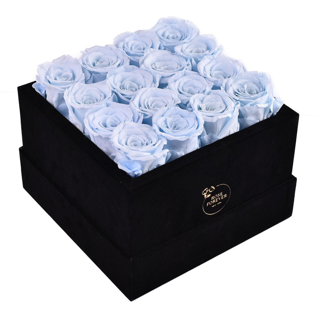 16 Baby Blue Roses - Black Square Velvet Box - Rose Forever